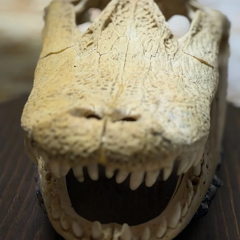 Reptile Skull Decor - Tan